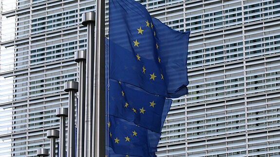 Keine Zeit für Protestwahlen –Zeit, die Demokratie zu bewahren Europaflaggen vor der Europäischen Kommission