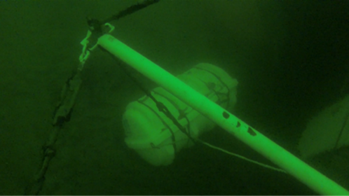 Eine nicht ausgelöste Rettungsinsel, hier auf dem Bild zu sehen, wurde Fischern in der Ostsee zum Verhängnis. Die Bundesstelle für Seeunfalluntersuchung konnte die Ursache ermitteln. Eine nicht ausgelöste Rettungsinsel, hier auf dem Bild zu sehen, wurde Fischern in der Ostsee zum Verhängnis. Die Bundesstelle für Seeunfalluntersuchung konnte die Ursache ermitteln.
