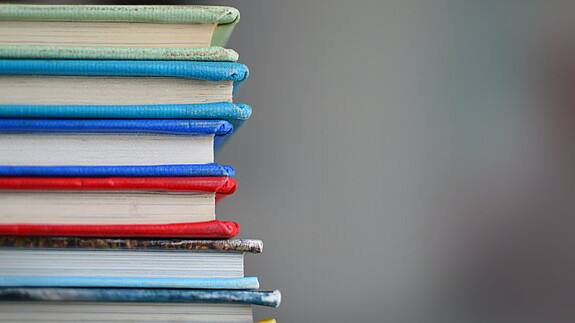 CESI unterstützt Europäische Union of Skills Verschiedenfarbige Bücher