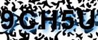 grafischer Sicherheitscode