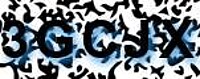 grafischer Sicherheitscode