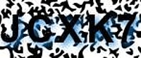 grafischer Sicherheitscode