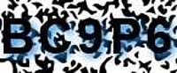 grafischer Sicherheitscode