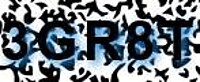 grafischer Sicherheitscode